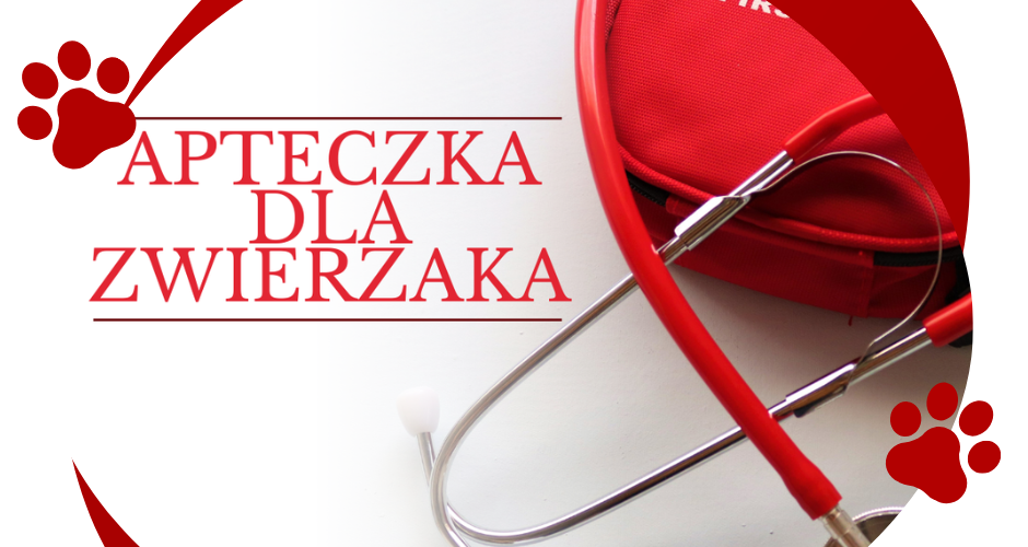 Apteczka dla zwierzaka